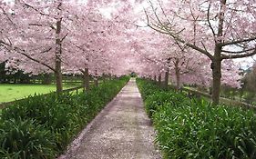 English Cherry Tree Manor